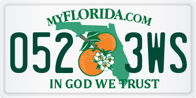 FL license plate 0523WS
