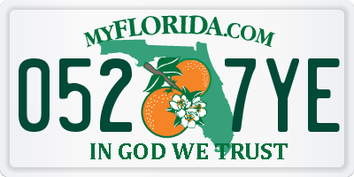 FL license plate 0527YE