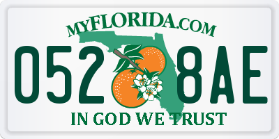 FL license plate 0528AE