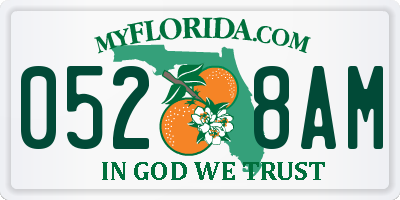 FL license plate 0528AM