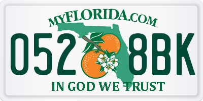 FL license plate 0528BK