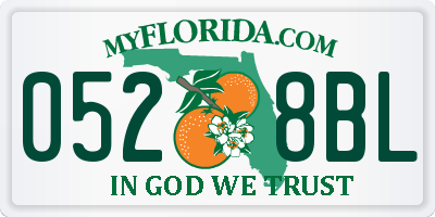 FL license plate 0528BL