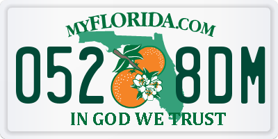 FL license plate 0528DM