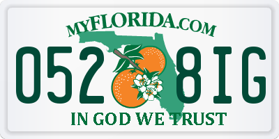 FL license plate 0528IG