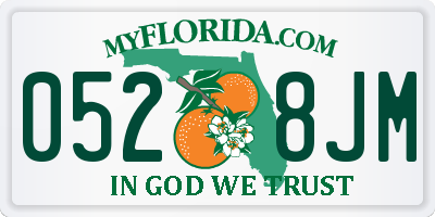 FL license plate 0528JM