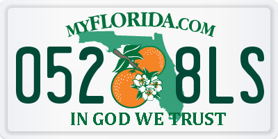 FL license plate 0528LS