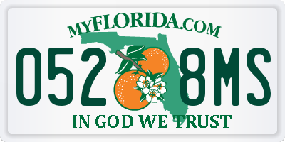 FL license plate 0528MS