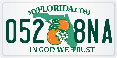 FL license plate 0528NA