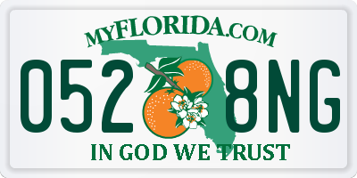 FL license plate 0528NG