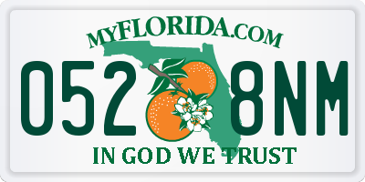 FL license plate 0528NM