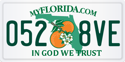 FL license plate 0528VE