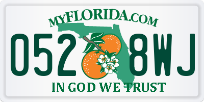 FL license plate 0528WJ