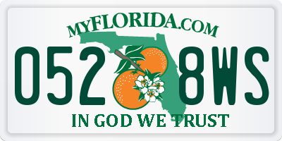 FL license plate 0528WS
