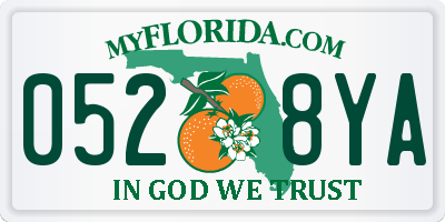 FL license plate 0528YA