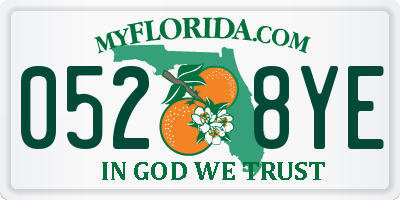 FL license plate 0528YE