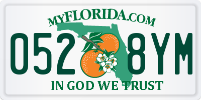 FL license plate 0528YM