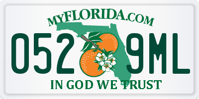 FL license plate 0529ML
