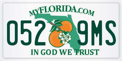 FL license plate 0529MS