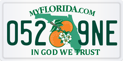 FL license plate 0529NE