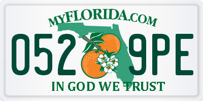FL license plate 0529PE