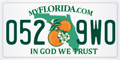 FL license plate 0529WO