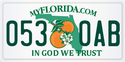 FL license plate 0530AB