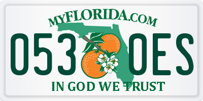FL license plate 0530ES