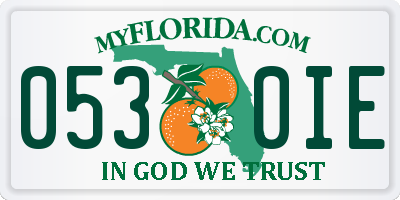 FL license plate 0530IE
