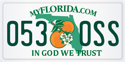 FL license plate 0530SS