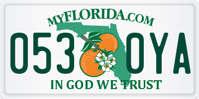 FL license plate 0530YA