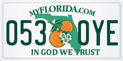 FL license plate 0530YE
