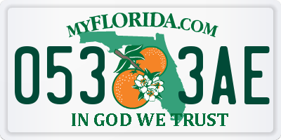 FL license plate 0533AE
