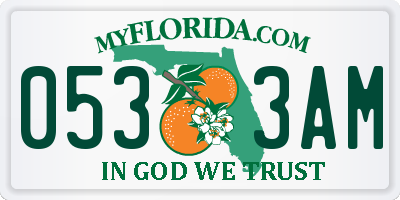 FL license plate 0533AM