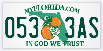FL license plate 0533AS
