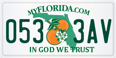 FL license plate 0533AV