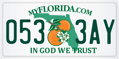 FL license plate 0533AY