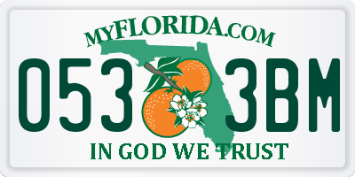 FL license plate 0533BM