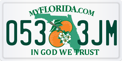 FL license plate 0533JM