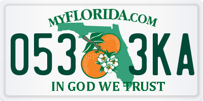 FL license plate 0533KA