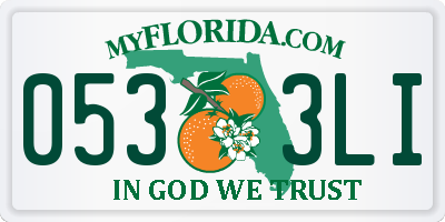 FL license plate 0533LI