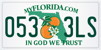 FL license plate 0533LS