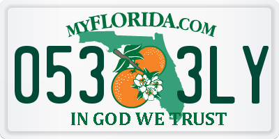 FL license plate 0533LY