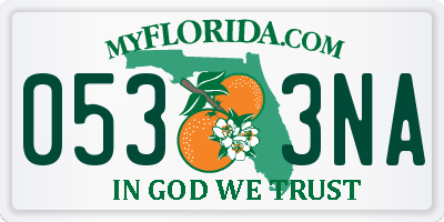 FL license plate 0533NA