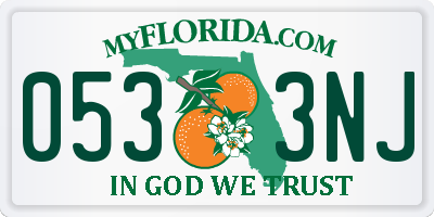 FL license plate 0533NJ