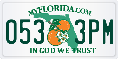 FL license plate 0533PM