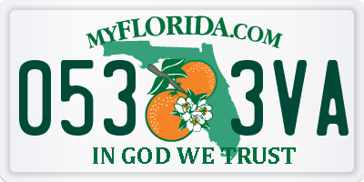 FL license plate 0533VA