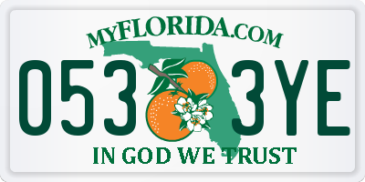 FL license plate 0533YE