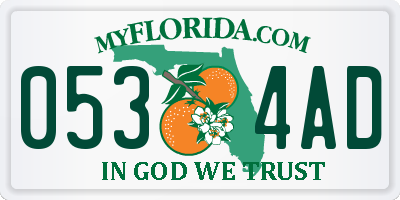 FL license plate 0534AD