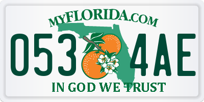 FL license plate 0534AE