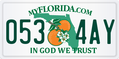 FL license plate 0534AY